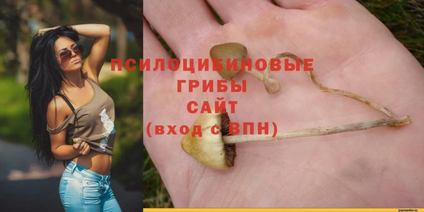 ECSTASY Осинники