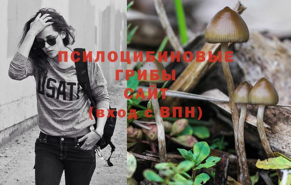 кокс Нягань