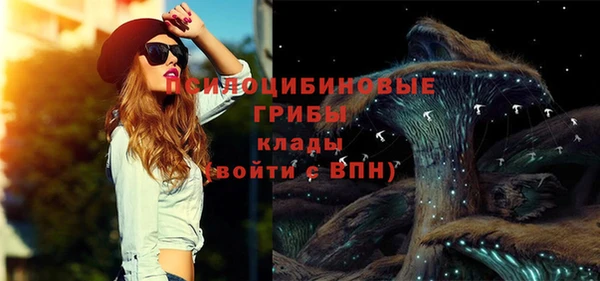 кокс Нягань