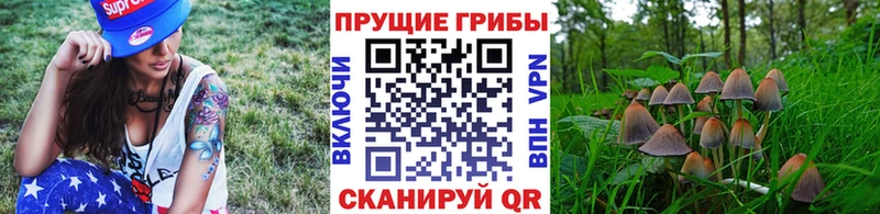 Псилоцибиновые грибы ЛСД  продажа наркотиков  Приморско-Ахтарск 
