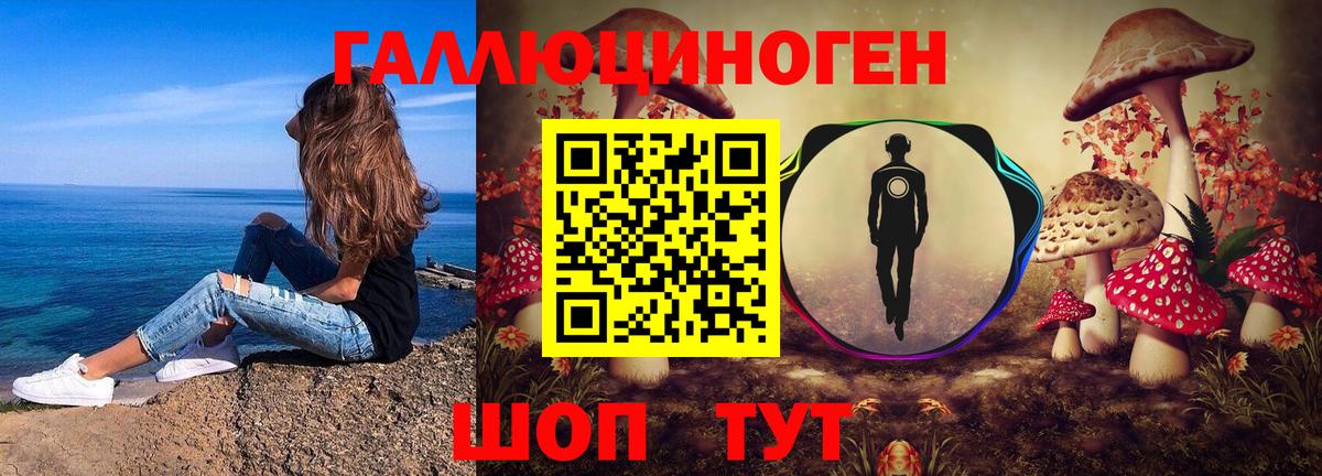 Галлюциногенные грибы MAGIC MUSHROOMS  Галлюциногенные грибы мицелий  Приморско-Ахтарск  где купить наркоту  Вход с VPN 
